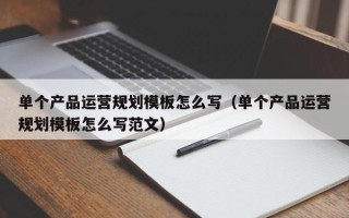 单个产品运营规划模板怎么写（单个产品运营规划模板怎么写范文）