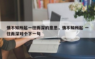 情不知所起一往而深的意思，情不知所起 一往而深对个下一句