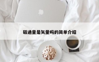 磁通量是矢量吗的简单介绍