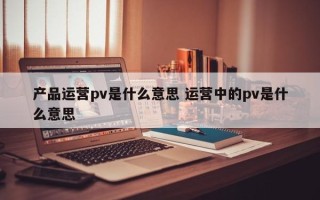 产品运营pv是什么意思 运营中的pv是什么意思