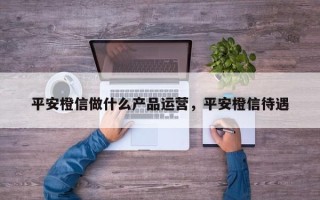 平安橙信做什么产品运营，平安橙信待遇