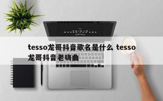 tesso龙哥抖音歌名是什么 tesso龙哥抖音老嗨曲