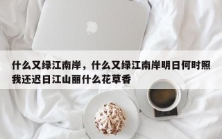 什么又绿江南岸，什么又绿江南岸明日何时照我还迟日江山丽什么花草香