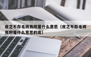 皮之不存毛将焉附是什么意思（皮之不存毛将焉附是什么意思的皮）