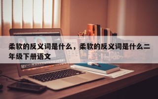 柔软的反义词是什么，柔软的反义词是什么二年级下册语文