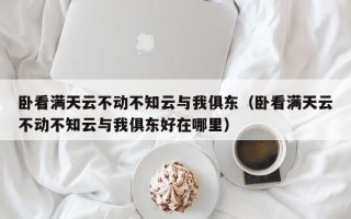 卧看满天云不动不知云与我俱东（卧看满天云不动不知云与我俱东好在哪里）