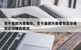 若不是因为爱着你，若不是因为爱着你怎会夜深还没睡意歌词