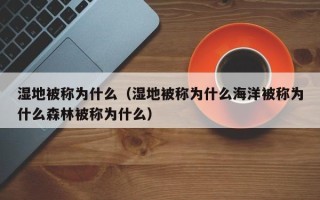 湿地被称为什么（湿地被称为什么海洋被称为什么森林被称为什么）