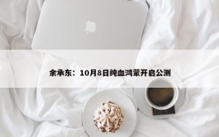 余承东：10月8日纯血鸿蒙开启公测