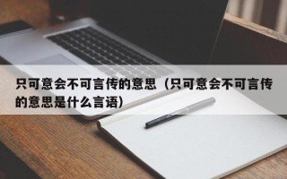 只可意会不可言传的意思（只可意会不可言传的意思是什么言语）