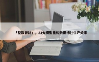 「整数智能」，AI大模型重构数据标注生产效率