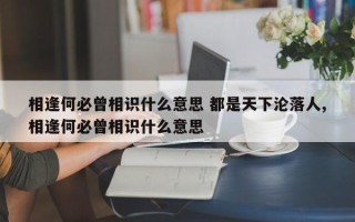 相逢何必曾相识什么意思 都是天下沦落人,相逢何必曾相识什么意思