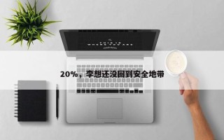 20%，李想还没回到安全地带