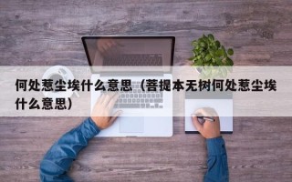 何处惹尘埃什么意思（菩提本无树何处惹尘埃什么意思）