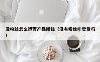 没粉丝怎么运营产品赚钱（没有粉丝能卖货吗）