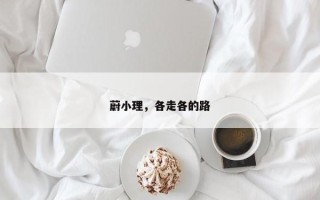 蔚小理，各走各的路