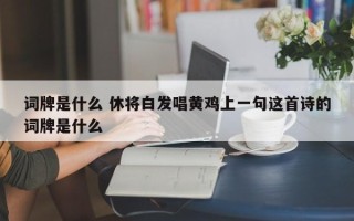 词牌是什么 休将白发唱黄鸡上一句这首诗的词牌是什么