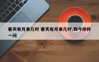 春天有月来几时 春天有月来几时,我今停杯一问