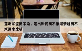 莲出淤泥而不染，莲出淤泥而不染濯清涟而不妖用来比喻