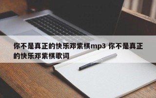 你不是真正的快乐邓紫棋mp3 你不是真正的快乐邓紫棋歌词