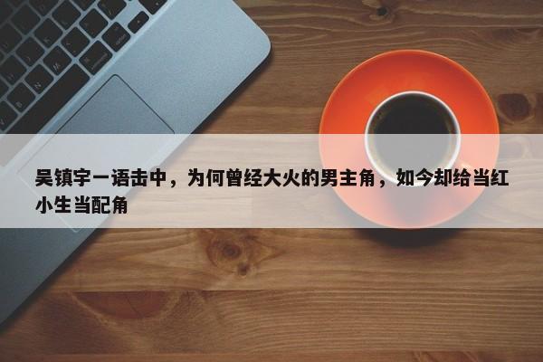 吴镇宇一语击中，为何曾经大火的男主角，如今却给当红小生当配角-第1张图片-千儒阁