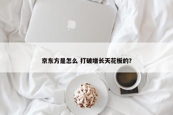 京东方是怎么 打破增长天花板的？-第1张图片-千儒阁