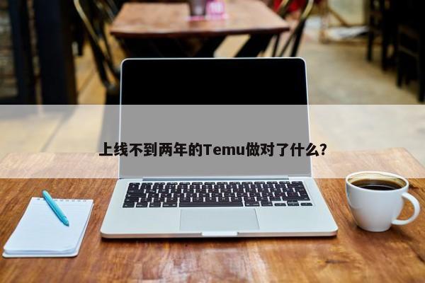 上线不到两年的Temu做对了什么？-第1张图片-千儒阁