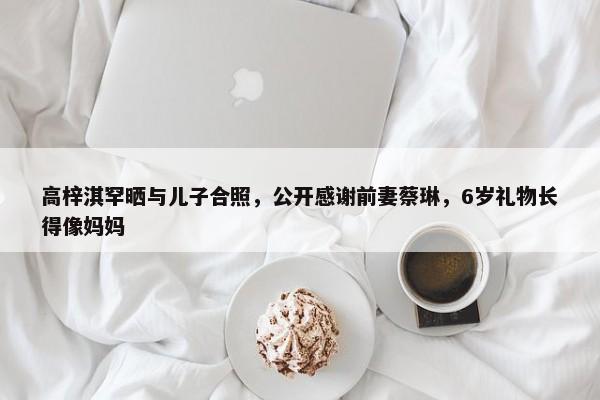 高梓淇罕晒与儿子合照，公开感谢前妻蔡琳，6岁礼物长得像妈妈-第1张图片-千儒阁