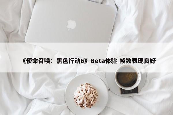 《使命召唤：黑色行动6》Beta体验 帧数表现良好-第1张图片-千儒阁