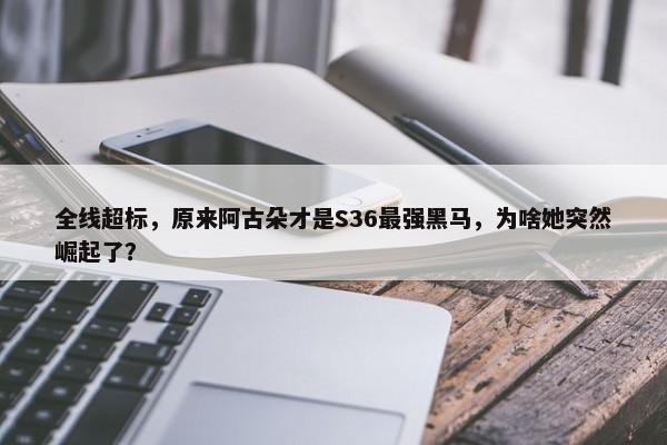 全线超标，原来阿古朵才是S36最强黑马，为啥她突然崛起了？-第1张图片-千儒阁