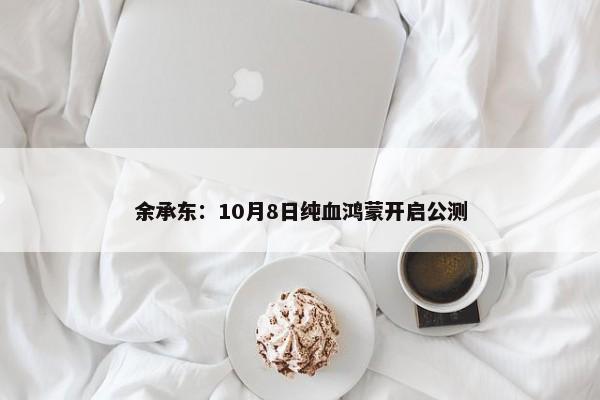 余承东：10月8日纯血鸿蒙开启公测-第1张图片-千儒阁